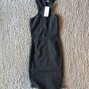 NWT mesh cutout dress